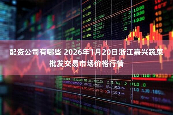 配资公司有哪些 2026年1月20日浙江嘉兴蔬菜批发交易市场价格行情